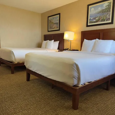 Comfort Inn On The Bay-2