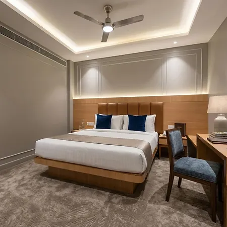 Hotel Raj Mahal Inn 2 Min Walk From New Delhi Railway Station-2