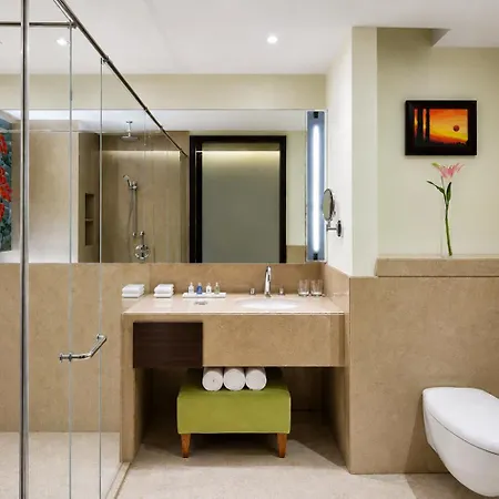 Radisson Blu Plaza Hotel Mysore-2