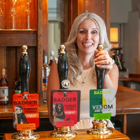 George Inn, Mere-3