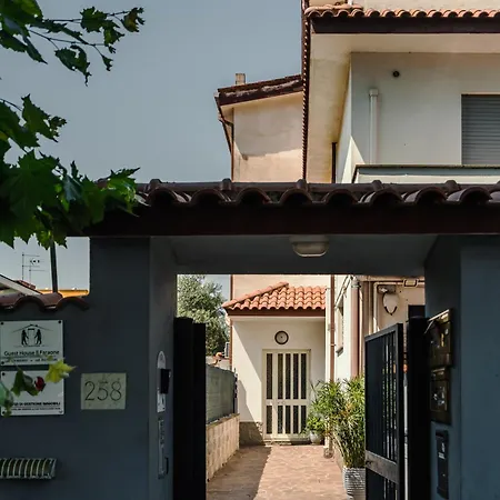 Guest House Il Faraone-2