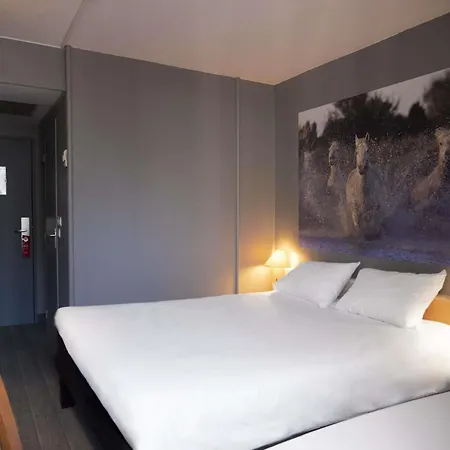Ibis Arles-2