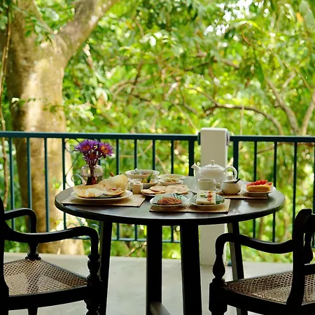 Ceylon Olive Galle-3