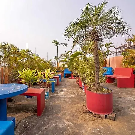 Sunflower Guesthouse-3