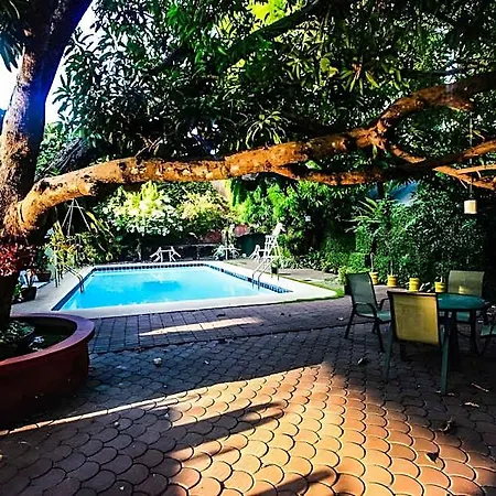 Bohol Tropics Resort-3
