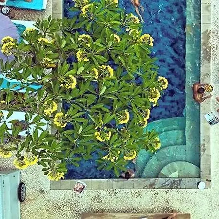 The Chillhouse Canggu By Bvr Bali Holiday Rentals-2