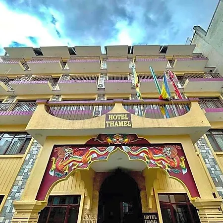 Hotel Thamel-3
