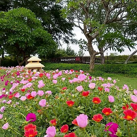 Wishing Tree Resort-3