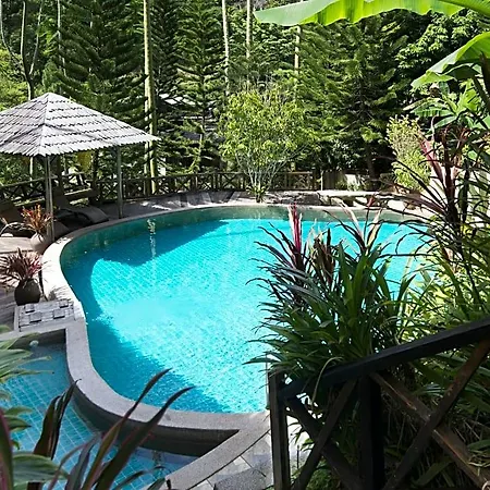 Fig Tree Hills Resort-3