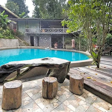 Fig Tree Hills Resort-2