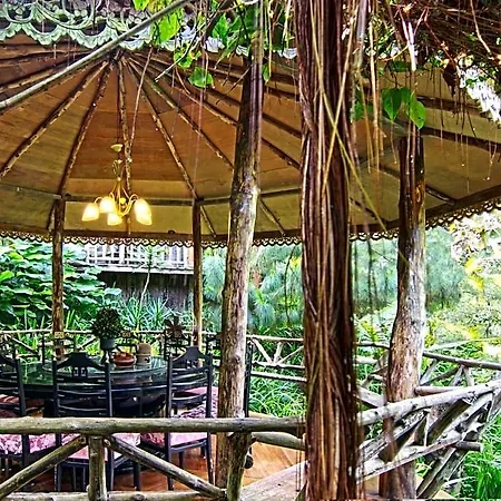 Fig Tree Hills Resort-3