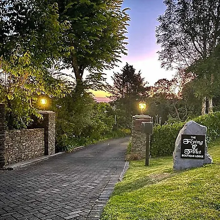 The Flying Trout Boutique Lodge-2