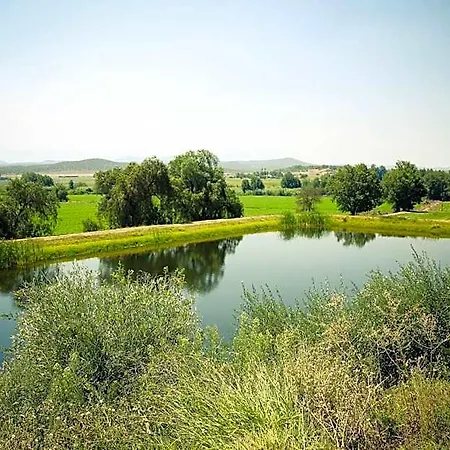 Surval Boutique Olive Estate-2