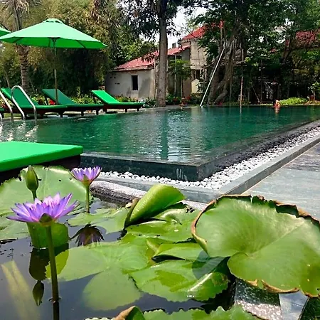 Hoi An Osaka Riverside Villa & Spa-3