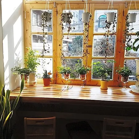 Time Travelers Relax Seoul Guesthouse - Foreigners Only-3