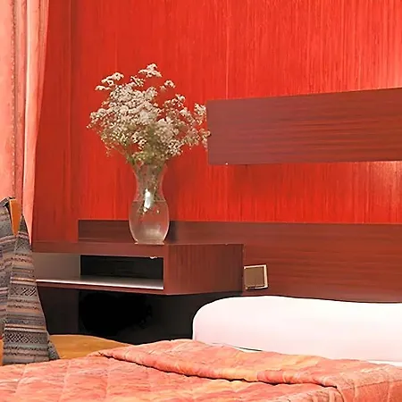 Camelia International-3