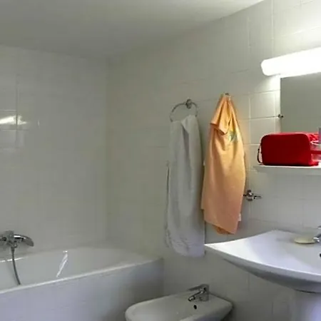 Camelia International-2