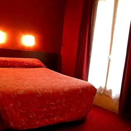 Camelia International-2