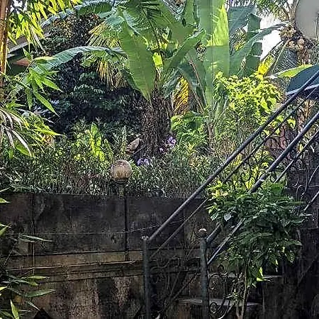 Ubud Dream-2