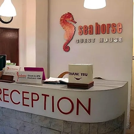 Sea Horse Guest House-3