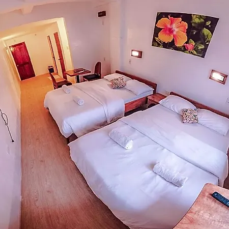 Sea Horse Guest House-2