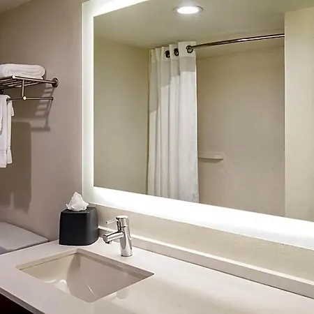 Holiday Inn Newport News - Hampton By Ihg-3