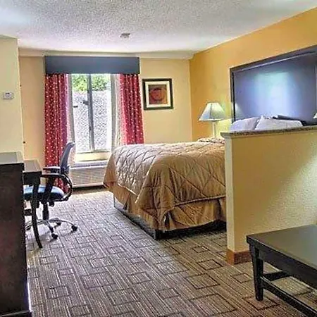 Quality Inn & Suites Greenville Near Downtown-3