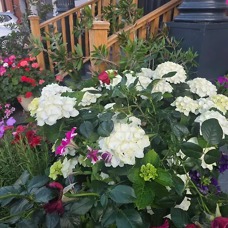 Ababeel Hotel-2