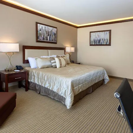 Wyndham Torreon-3