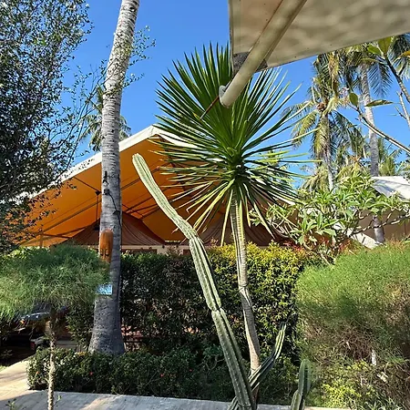 Gili Tenda-2