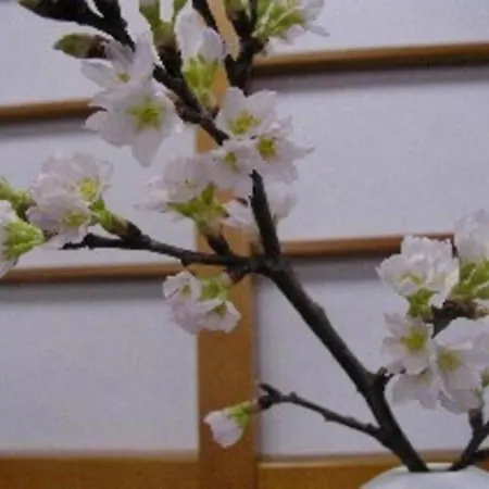 Wakaba Ryokan / Vacation Stay 29362-2