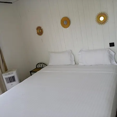 Avocado Hotel-2