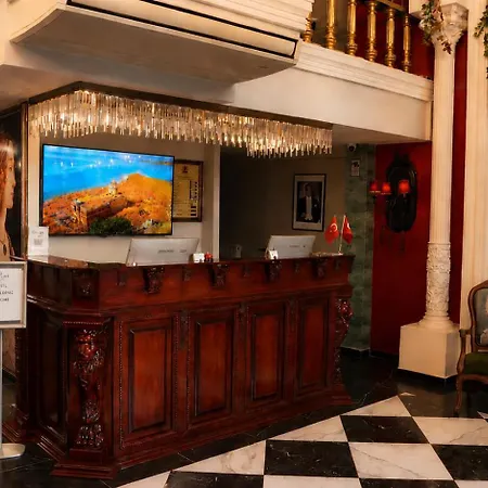 Elite World Nest Van-2