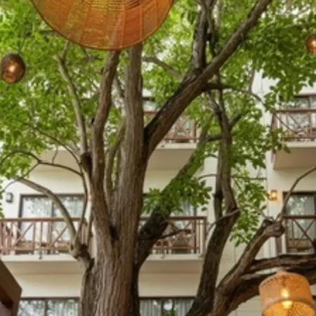 Ciye Hotel-3