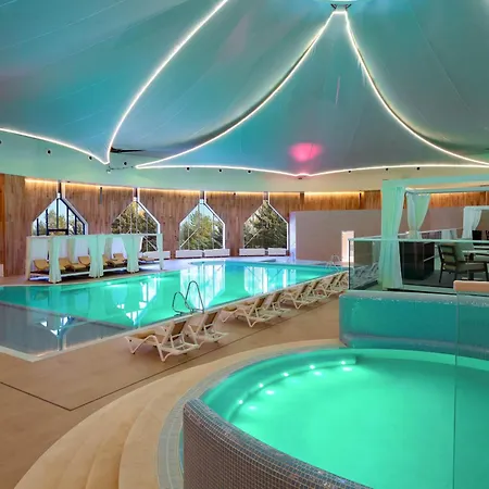 Swissôtel Wellness Resort Alatau Almaty-3