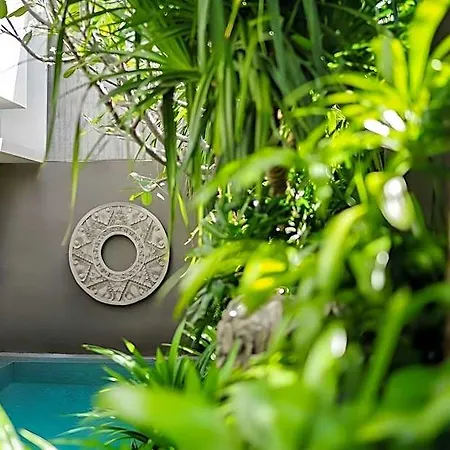 Blossom Eco Luxe Villas By Ekosistem-2
