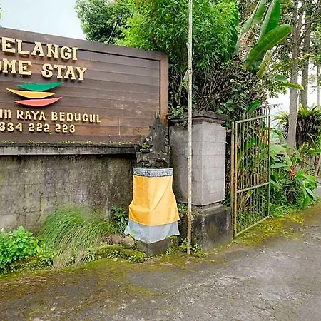 Pelangi Homestay Bedugul Redpartner-3