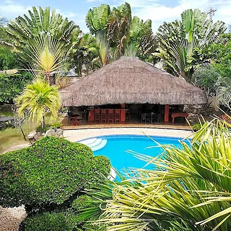 Alona Golden Palm-2