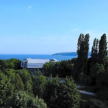 Hotel Duchess-2
