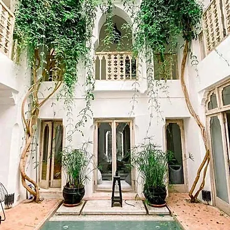 Riad Safa-2
