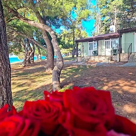 Family Bungalow Pineta-2