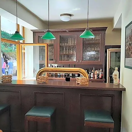 Waldhotel Pfarrmühle-3