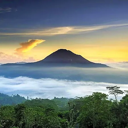 The Dewi Kintamani-3