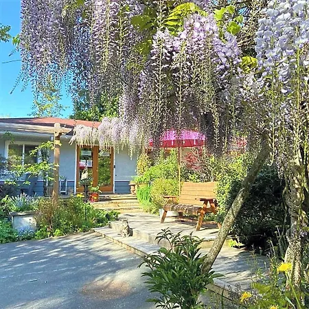 Wisteria Guest House-3
