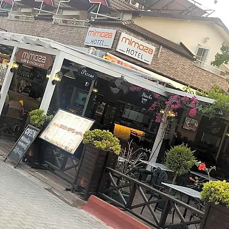 Mimoza Hotel-3