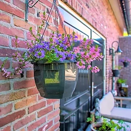 Guesthouse Valkenswaard-3