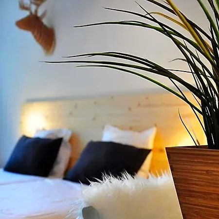 Hotel Beez-2