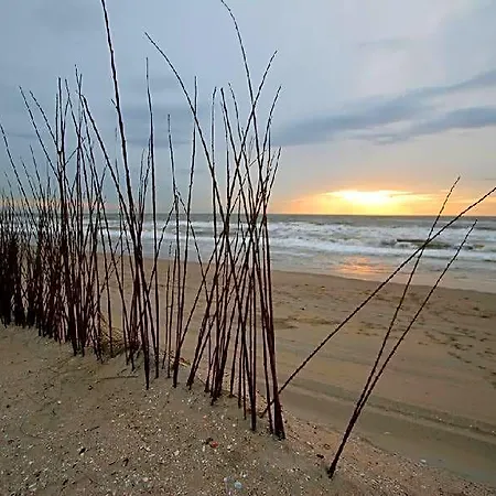 Pension 't hofje 350 meter van het strand-3