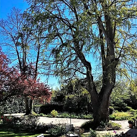 Le Grand Arbre-2