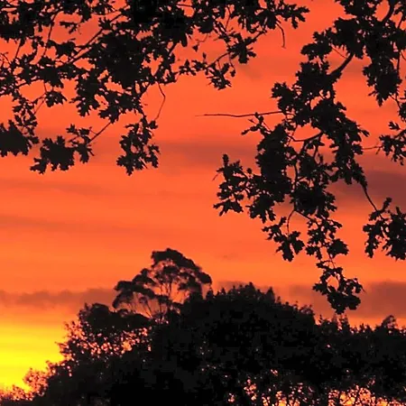 Jacaranda Lodge-3